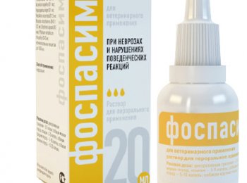 Ветеринарный препарат «Фоспасим»: как применять для кошек