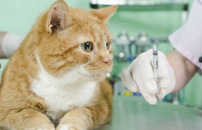 «Фоспасим»