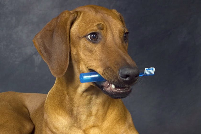 Чистка зубов