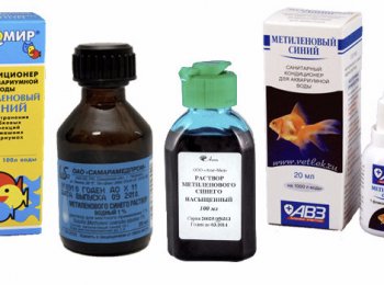 «Метиленовый синий»: как использовать в аквариуме