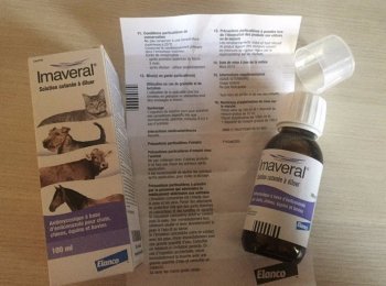 «Имаверол»: как разводить и применять для кошек и собак