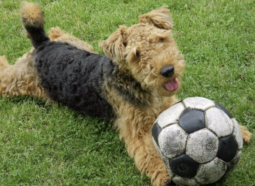 Физическая активность Физическая активность