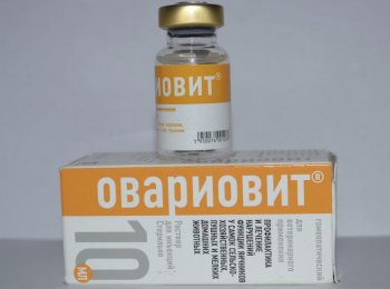 Раствор для инъекций «Овариовит»: как колоть собаке и кошке