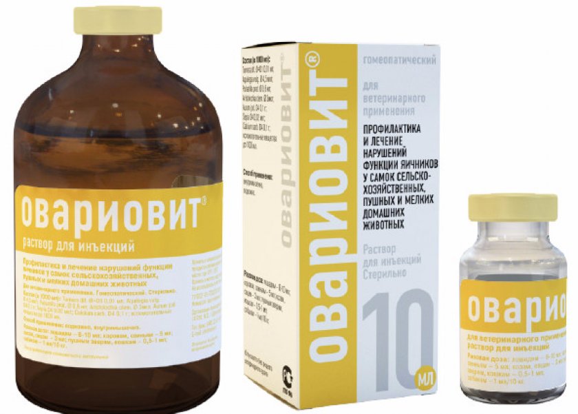 Препарат Овариовит