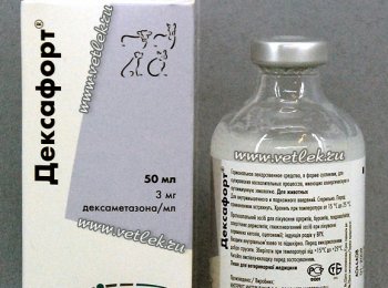 «Дексафорт»: как и куда колоть кошке и собаке