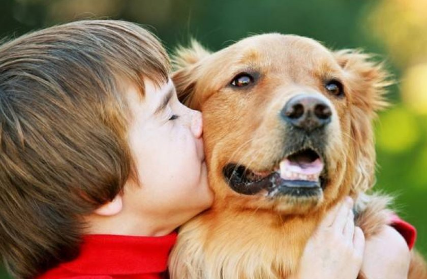 Суспензия «Празицид Плюс»