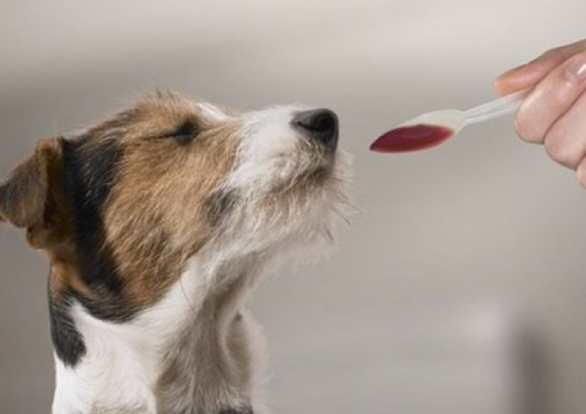 Суспензия «Празицид Плюс»