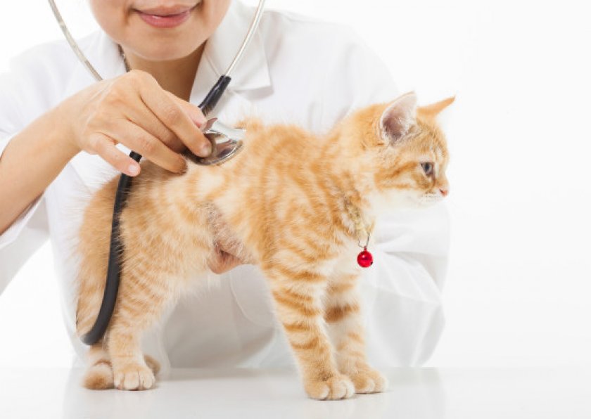 «Травматин» «Травматин»