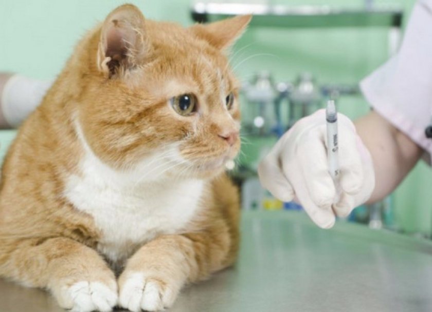 Техника безопасности Техника безопасности