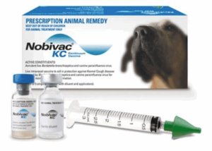 Как сделать прививку собаке самостоятельно нобивак?