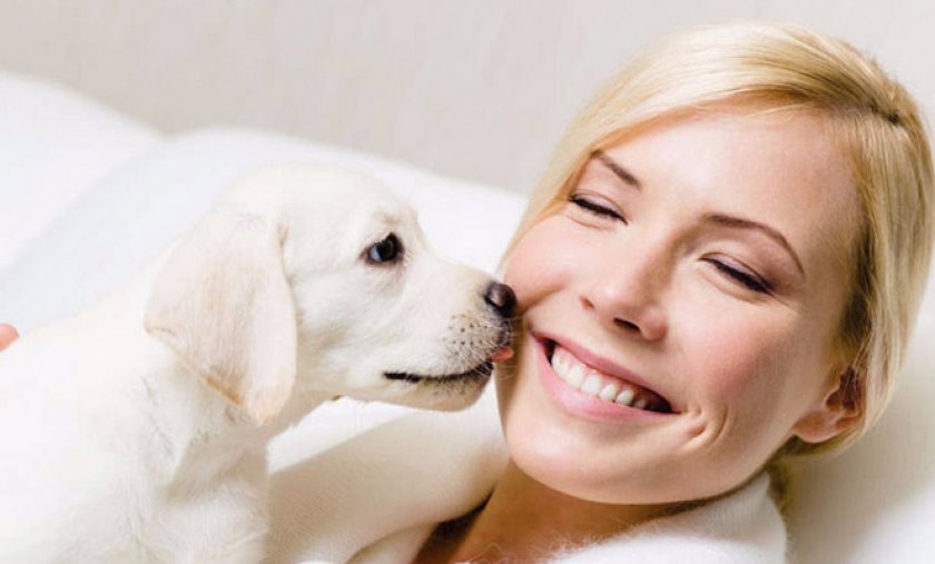 Реакция на слюни Реакция на слюни