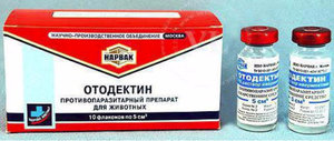 «Отодектин»: как и куда колоть собакам и кошкам «Отодектин»: как и куда колоть собакам и кошкам