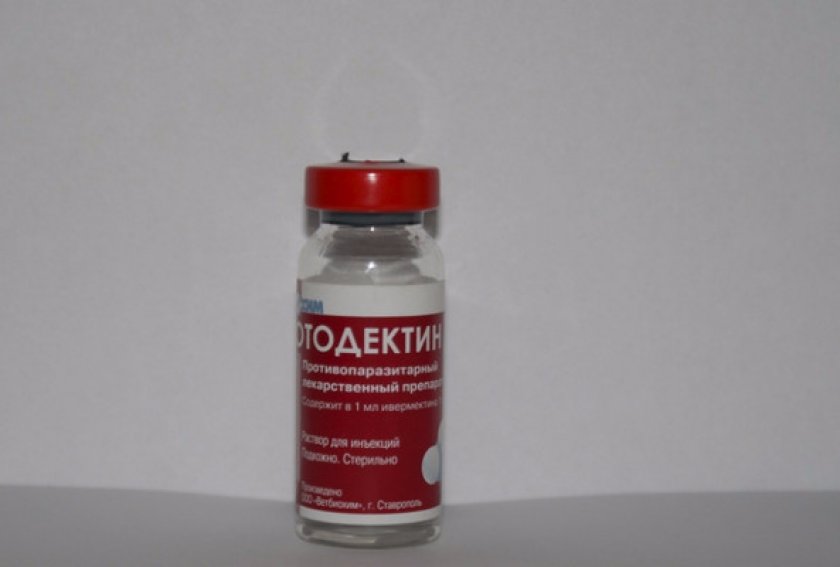 «Отодектин»: как и куда колоть собакам и кошкам «Отодектин»: как и куда колоть собакам и кошкам