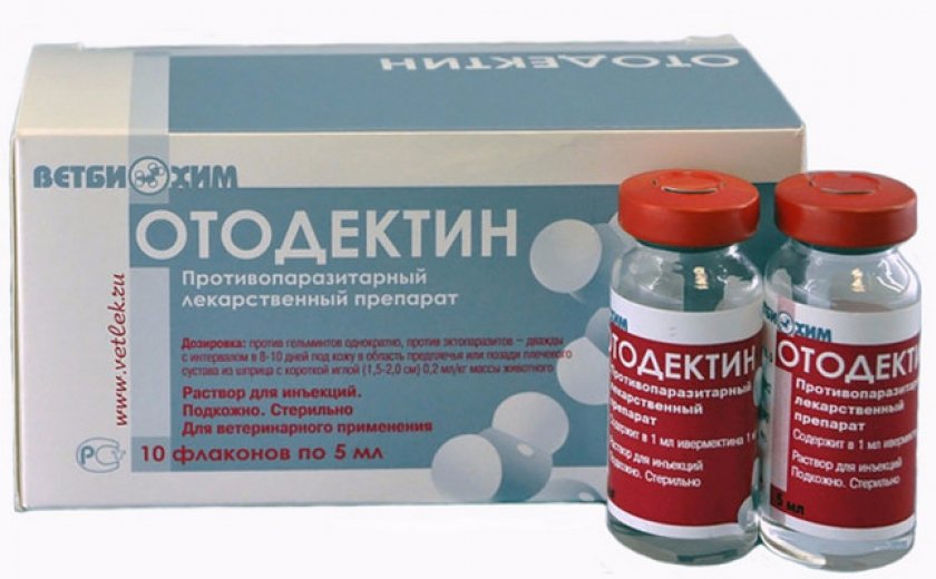 Хранение препарата Хранение препарата