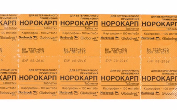 Способ хранения Способ хранения
