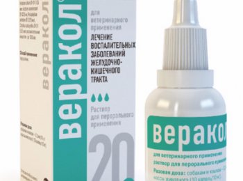 «Веракол»: как применять для кошек