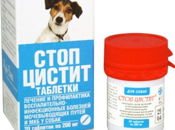 «Стоп-цистит»: как давать собаке