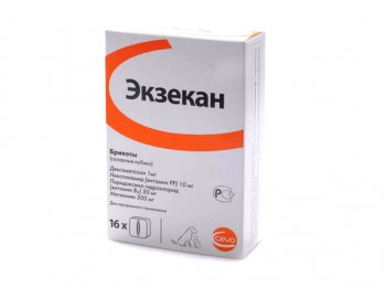 «Экзекан»: как давать собаке
