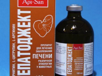 «Гепатоджект»: как применять для домашних животных