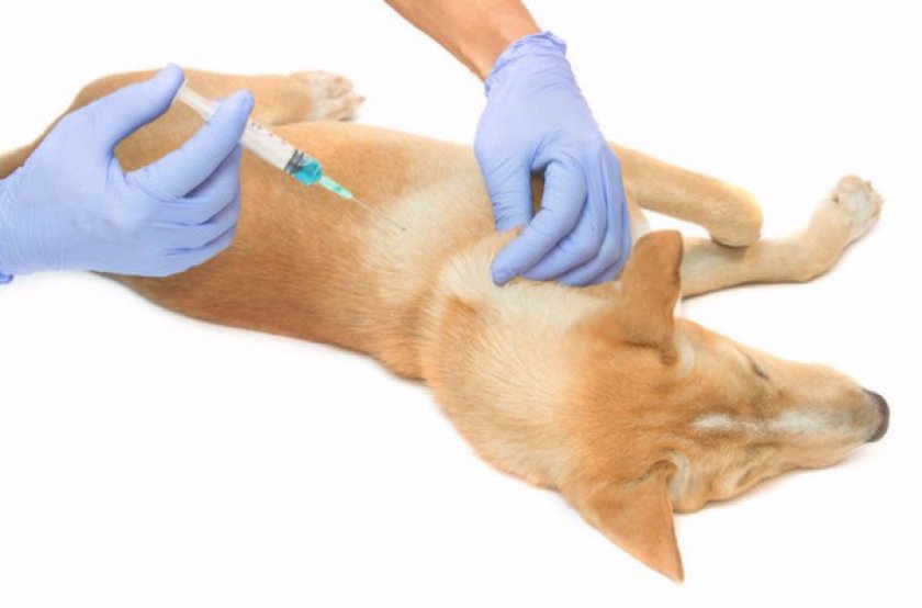 Показания к применению