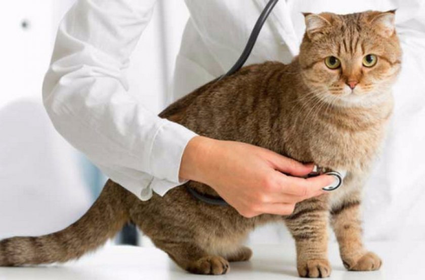 Показания к применению