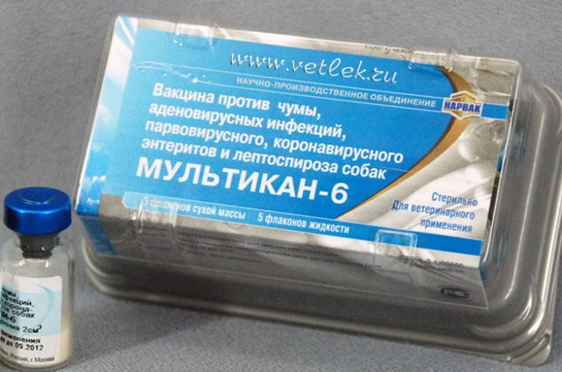 «Мультикан-6» «Мультикан-6»