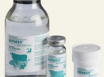 «Веракол»: как давать собаке