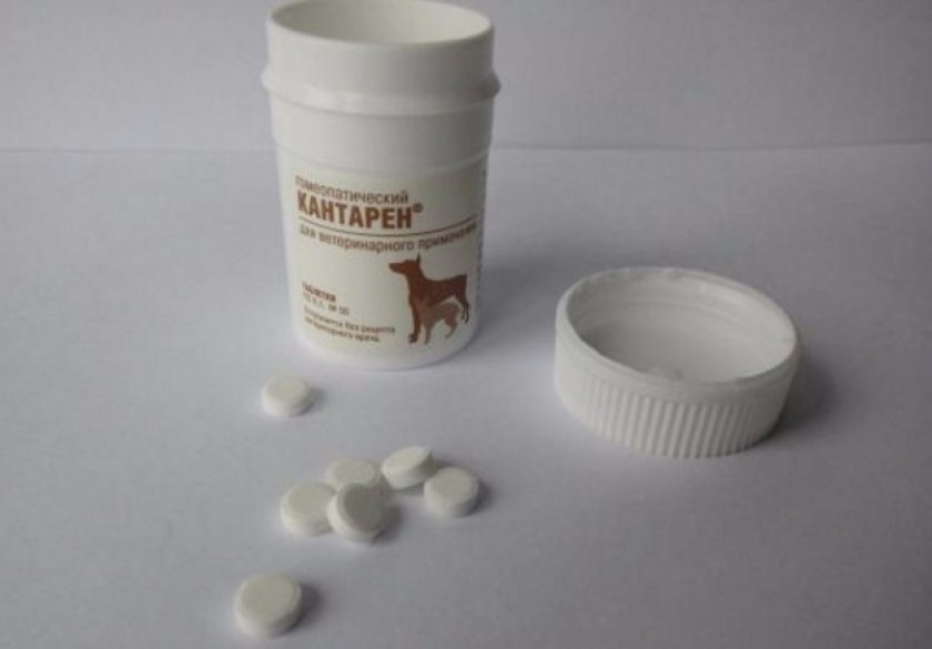 Таблетки Кантарен