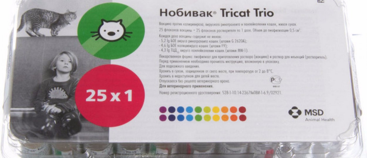 Вакцина «Нобивак Трикет Трио» для кошек: инструкция по применению