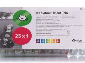 «Нобивак Tricat Trio»: как вакцинировать кошек