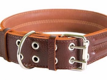 Ошейники для собак: выбираем аксессуар для своего любимца