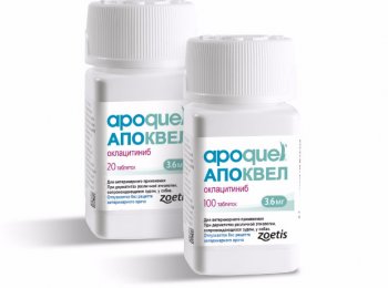 «Апоквель»: от чего и как принимать для собак