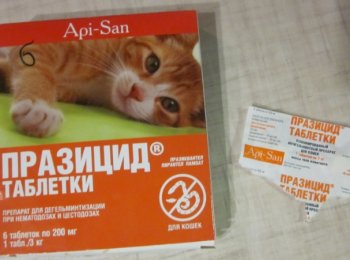 Таблетки «Празицид»: как давать кошкам