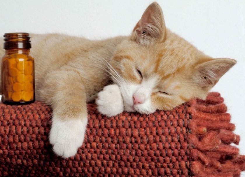 «Празицид»