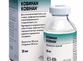 Как и от чего давать «Ковинан» собакам и кошкам