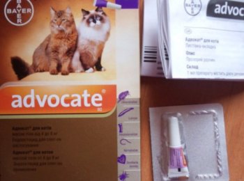 Ветеринарный препарат «Адвокат» для кошек: дозировка, инструкция
