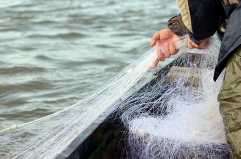 Добыча гаммаруса