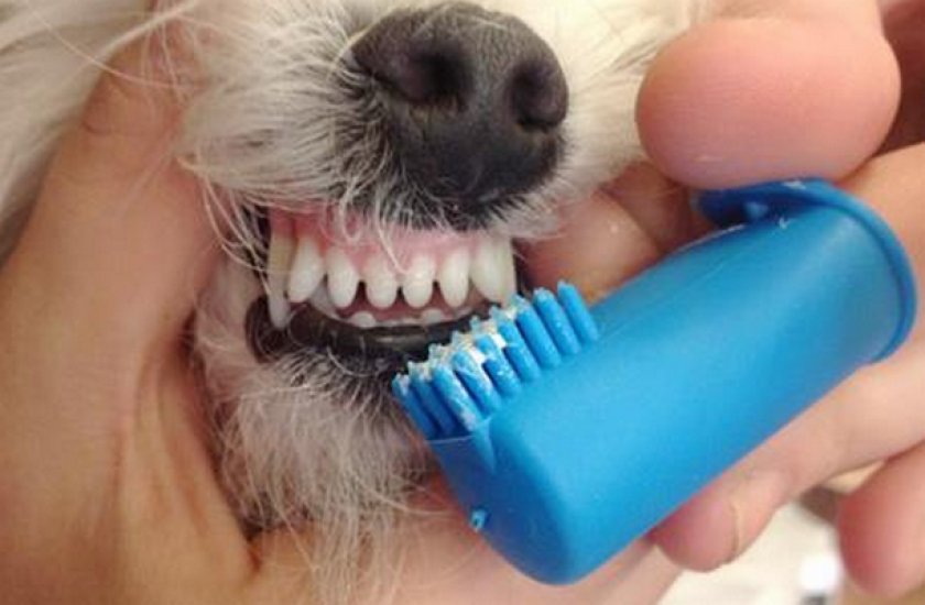 Чистка зубов