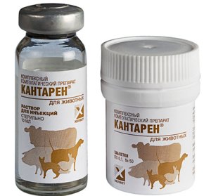 «Кантарен»