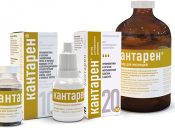 «Кантарен»: как применять для собак