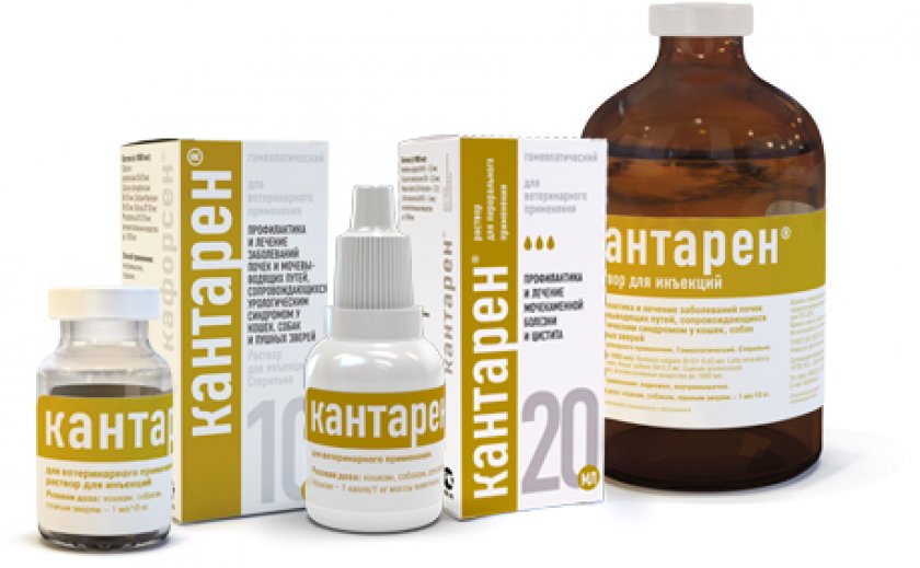 «Кантарен»