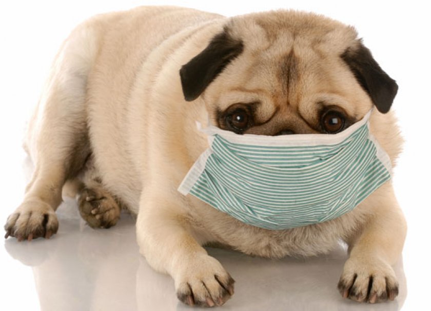 «Кантарен»