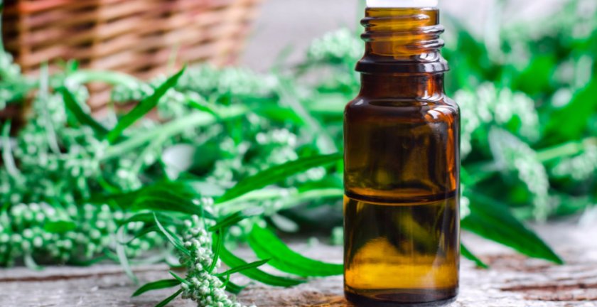 настой полыни настой полыни