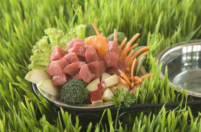 Еда для собаки