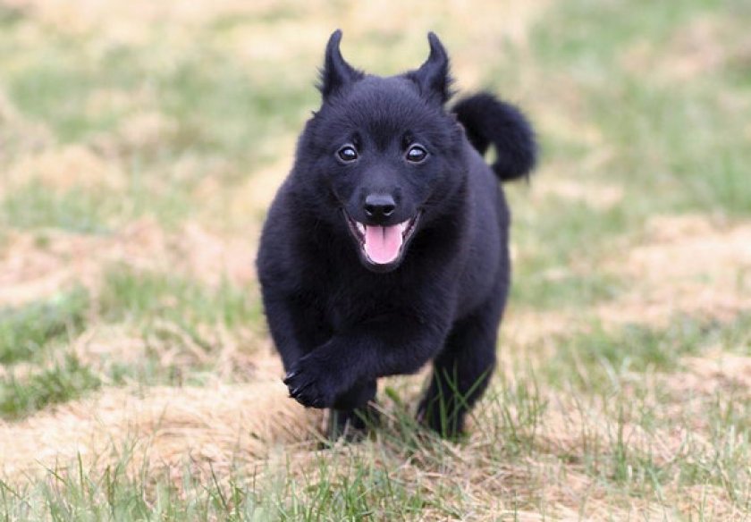 Физические нагрузки