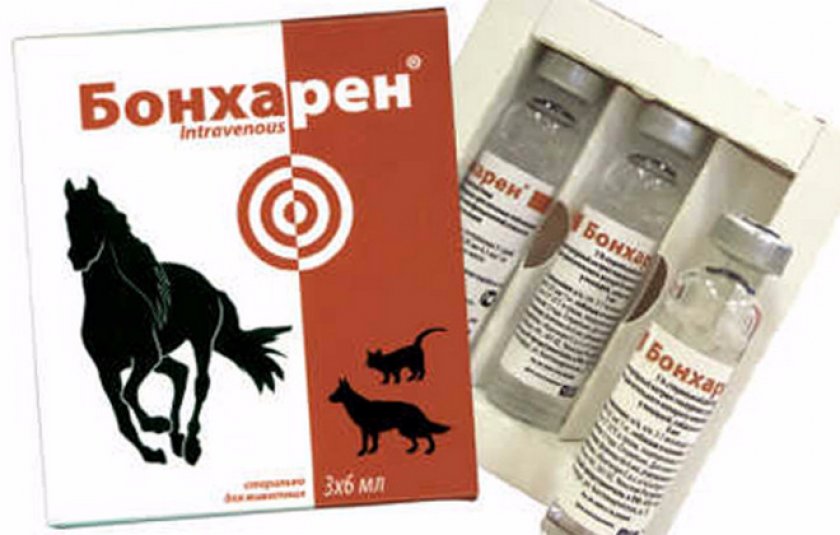 Бонхарен для собак инструкция по применению. Бонхарен форте для лошадей. Бонхарен форте, амп. 6 Мл. Бонхарен 1% , 6мл (3 амп/упак).