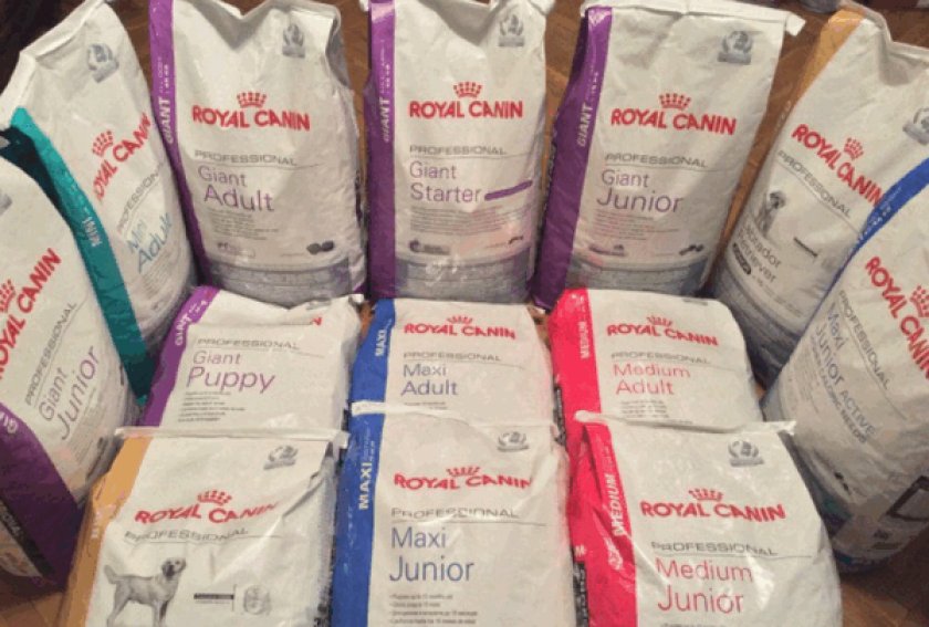 Royal Canin