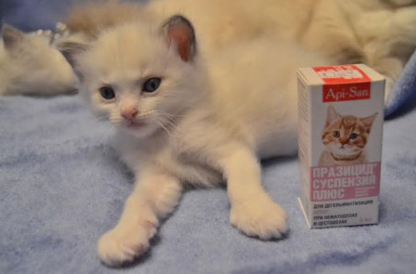 «Празицид Плюс»