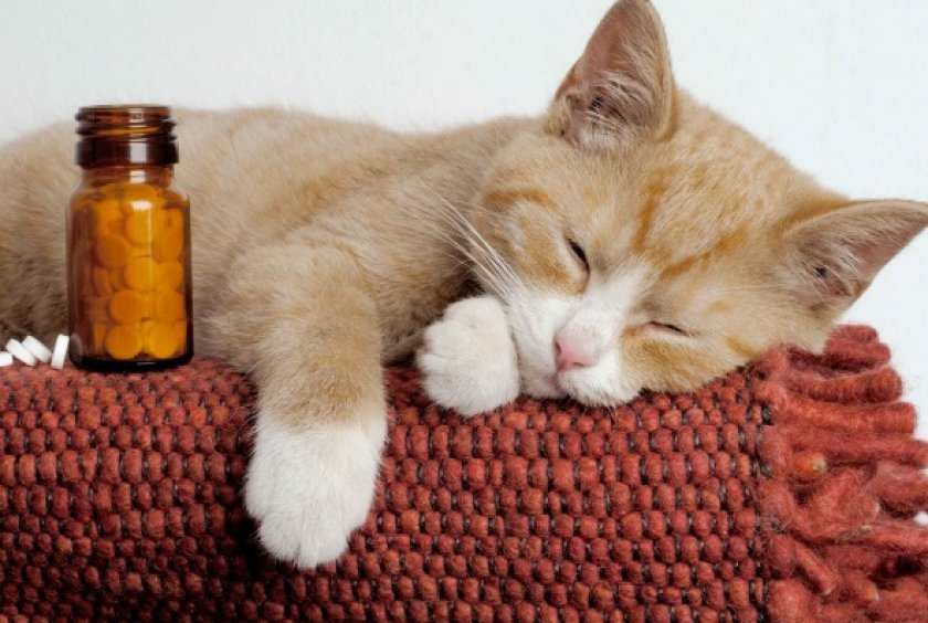 «Празицид Плюс»