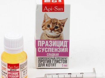 Суспензия «Празицид Плюс»: как применять для кошек